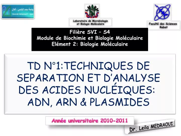 td n 1 techniques de separation et d analyse des acides nucl iques adn arn plasmides