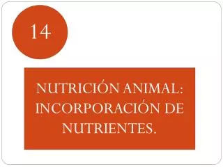NUTRICIÓN ANIMAL: INCORPORACIÓN DE NUTRIENTES.