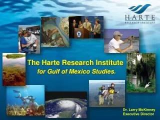 The Harte Research Institute for Gulf of Mexico Studies.