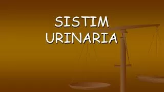 SISTIM URINARIA