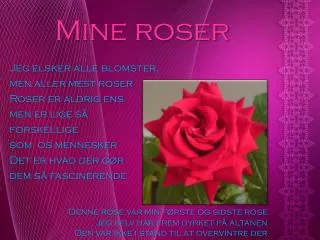 Mine roser