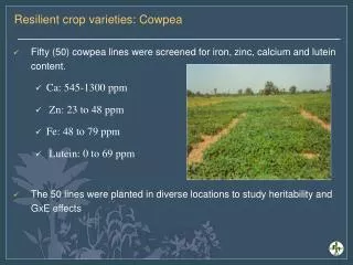 Resilient crop varieties: Cowpea