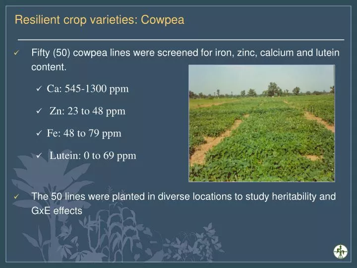 resilient crop varieties cowpea