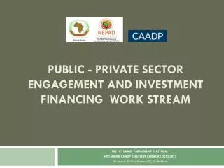 PUBLIC - PRIVATE SECTOR ENGAGEMENT AND INVESTMENT FINANCING WORK STREAM