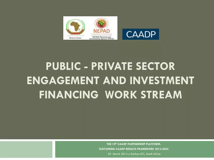 public private sector engagement and investment financing work stream