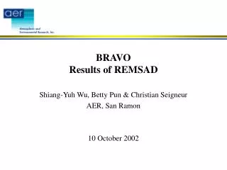 BRAVO Results of REMSAD