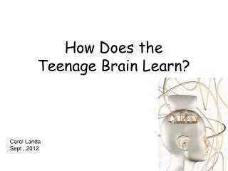 How Does the Teenage Brain Learn?