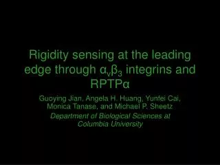 Rigidity sensing at the leading edge through α v β 3 integrins and RPTP α