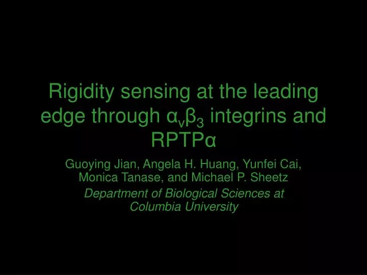 rigidity sensing at the leading edge through v 3 integrins and rptp