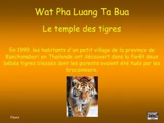 Wat Pha Luang Ta Bua Le temple des tigres