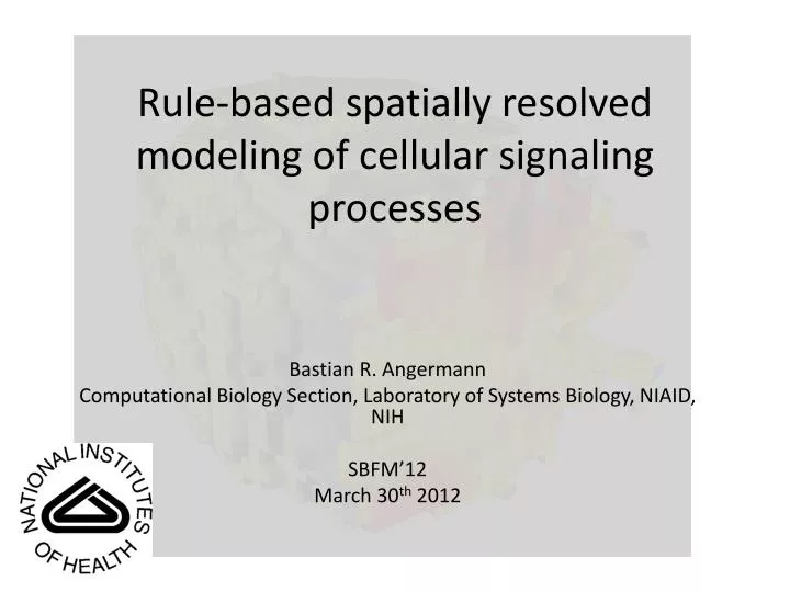 rule based spatially resolved modeling of cellular signaling processes