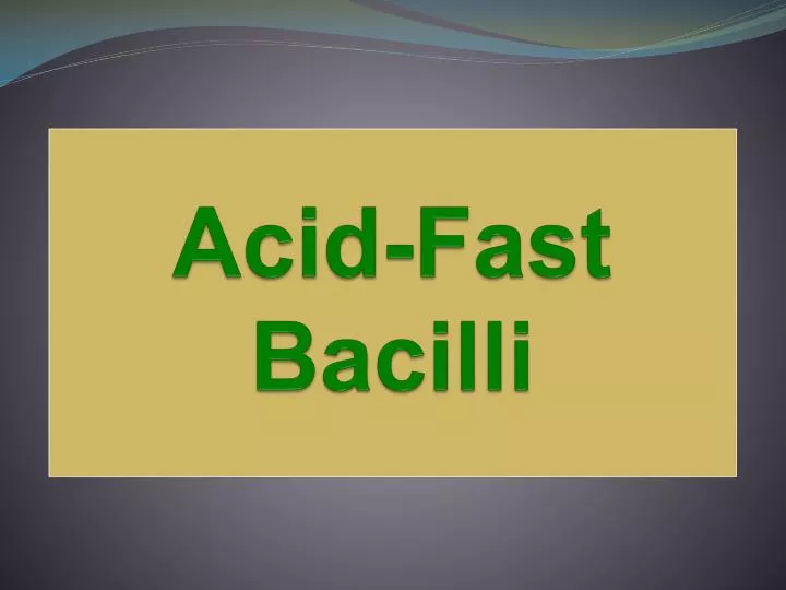 acid fast bacilli