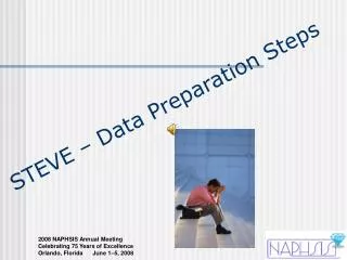 STEVE – Data Preparation Steps