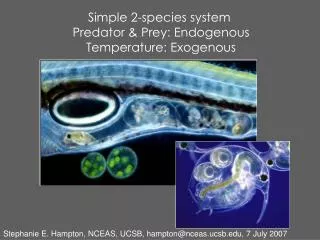 Simple 2-species system Predator &amp; Prey: Endogenous Temperature: Exogenous