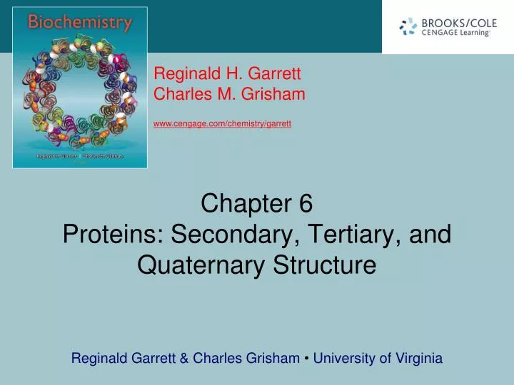 chapter 6 proteins secondary tertiary and quaternary structure