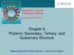 Chapter 6 Proteins: Secondary, Tertiary, and Quaternary Structure - slide 1