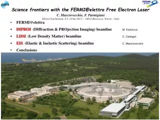 Science frontiers with the FERMI@elettra Free Electron Laser