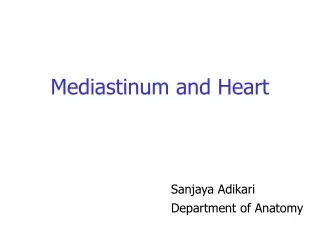 Mediastinum and Heart