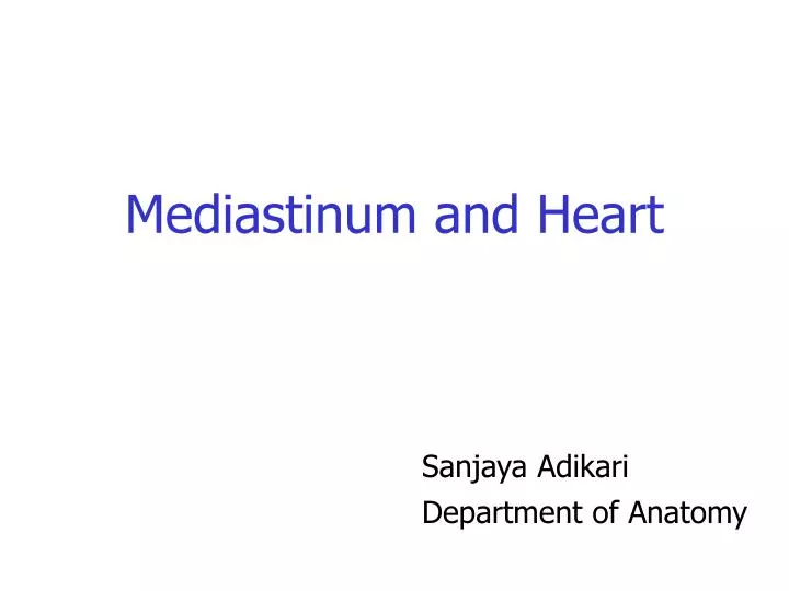 mediastinum and heart