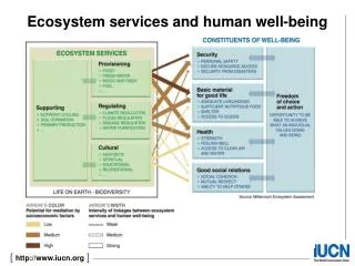 Ecosystem services and human well-being