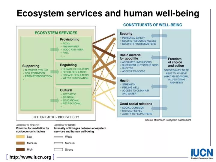 ecosystem services and human well being