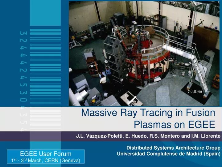massive ray tracing in fusion plasmas on egee
