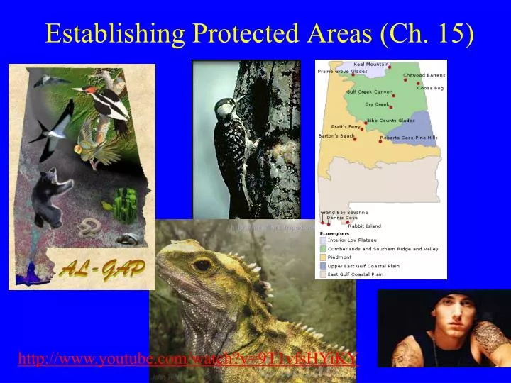 establishing protected areas ch 15