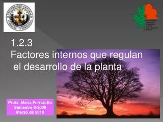 1.2.3 Factores internos que regulan el desarrollo de la planta