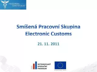sm en pracovn skupina electronic customs