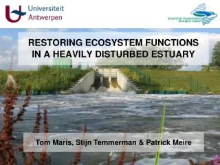 RESTORING ECOSYSTEM FUNCTIONS IN A HEAVILY DISTURBED ESTUARY