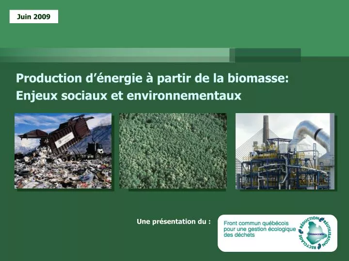 production d nergie partir de la biomasse enjeux sociaux et environnementaux