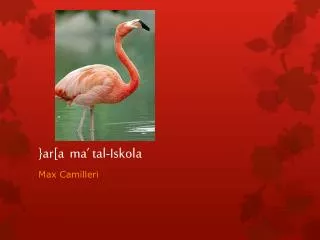 ar a ma tal iskola