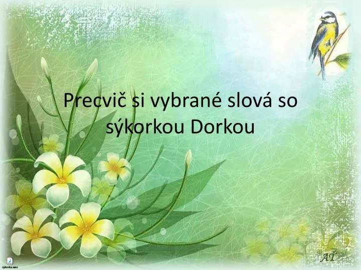 precvi si vybran slov so s korkou dorkou