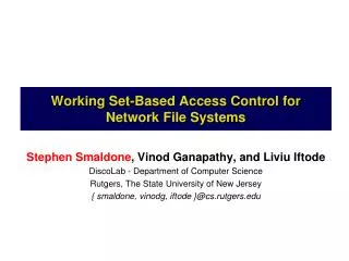 Working Set-Based Access Control for Network File Systems