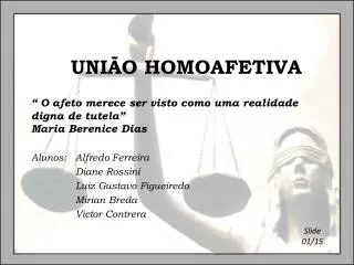 UNIÃO HOMOAFETIVA