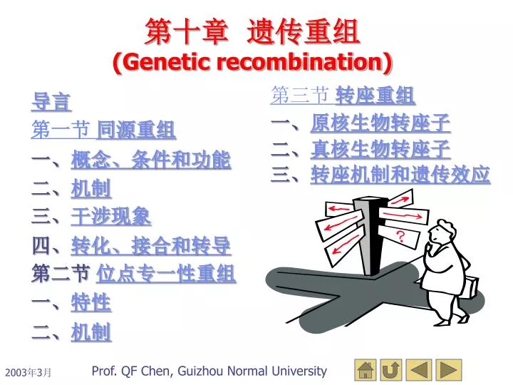genetic recombination