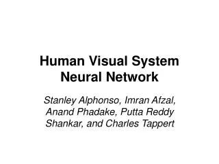 Human Visual System Neural Network