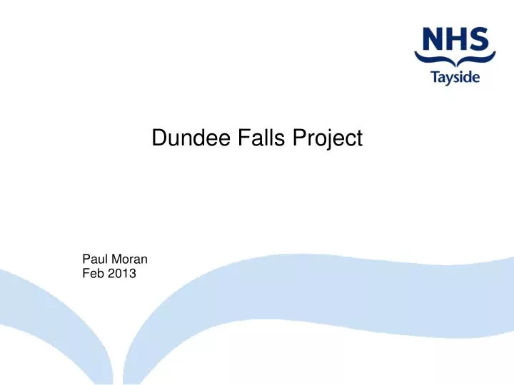 dundee falls project