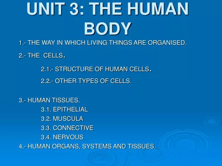 unit 3 the human body