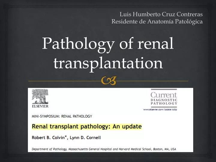 pathology of renal transplantation