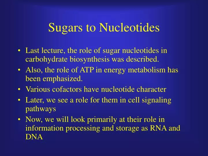 sugars to nucleotides