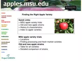 Finding the Right Apple Variety