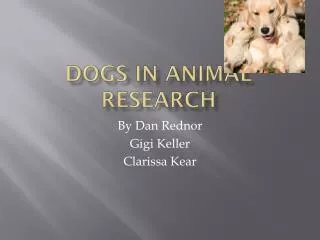 Dogs in Animal Research