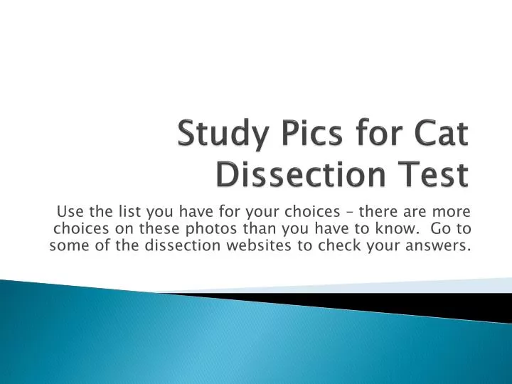 study pics for cat dissection test