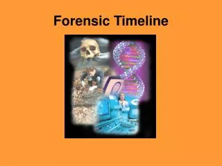 Forensic Timeline