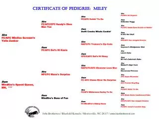 Certificate of Pedigree: Miley