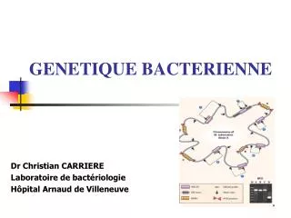 Dr Christian CARRIERE Laboratoire de bactériologie Hôpital Arnaud de Villeneuve