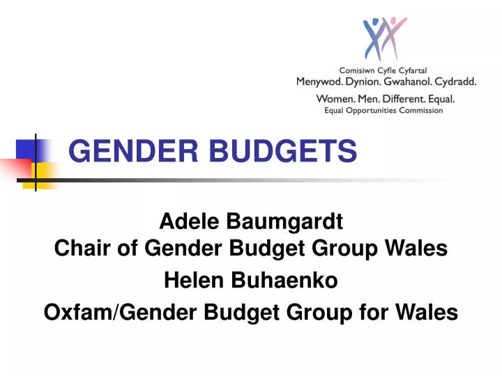 gender budgets
