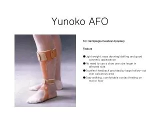 Yunoko AFO
