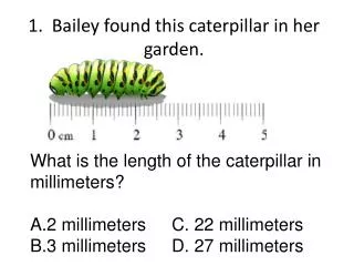 1. Bailey found this caterpillar in her garden.